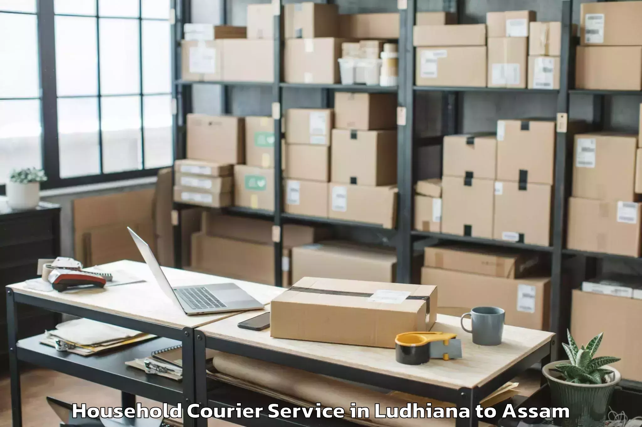 Ludhiana to Bokakhat Household Courier